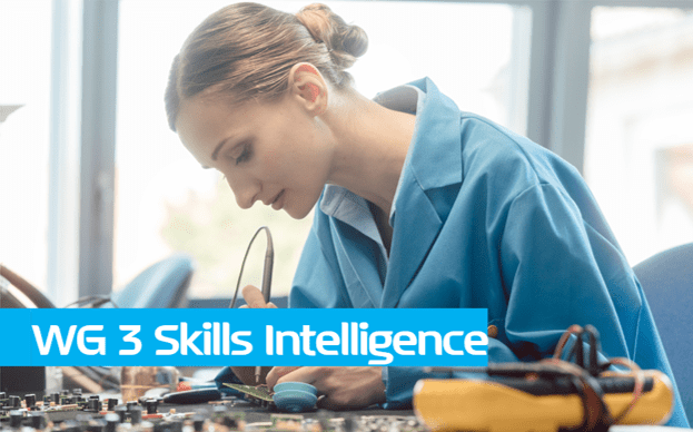 WG3 discusses skills intelligence project opportunities