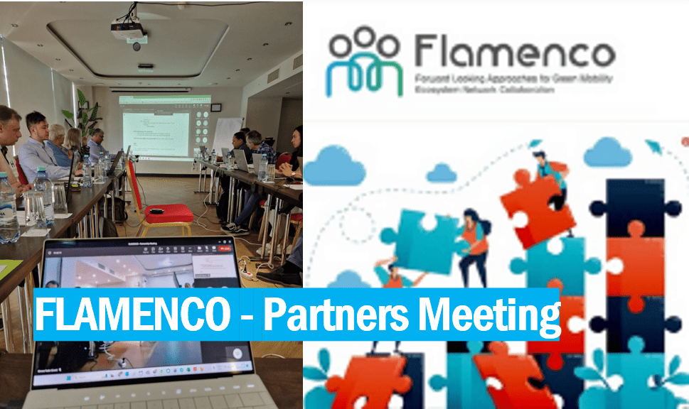 FLAMENCO – Partners Meeting